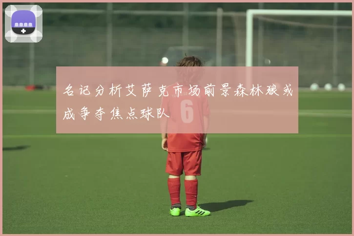 名记分析艾萨克市场前景森林狼或成争夺焦点球队