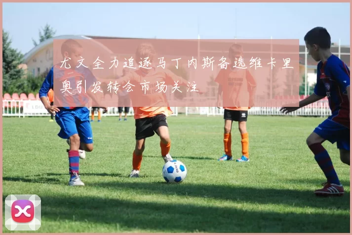 尤文全力追逐马丁内斯备选维卡里奥引发转会市场关注